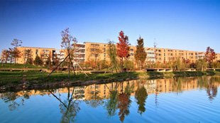029-81891839（校友总会）