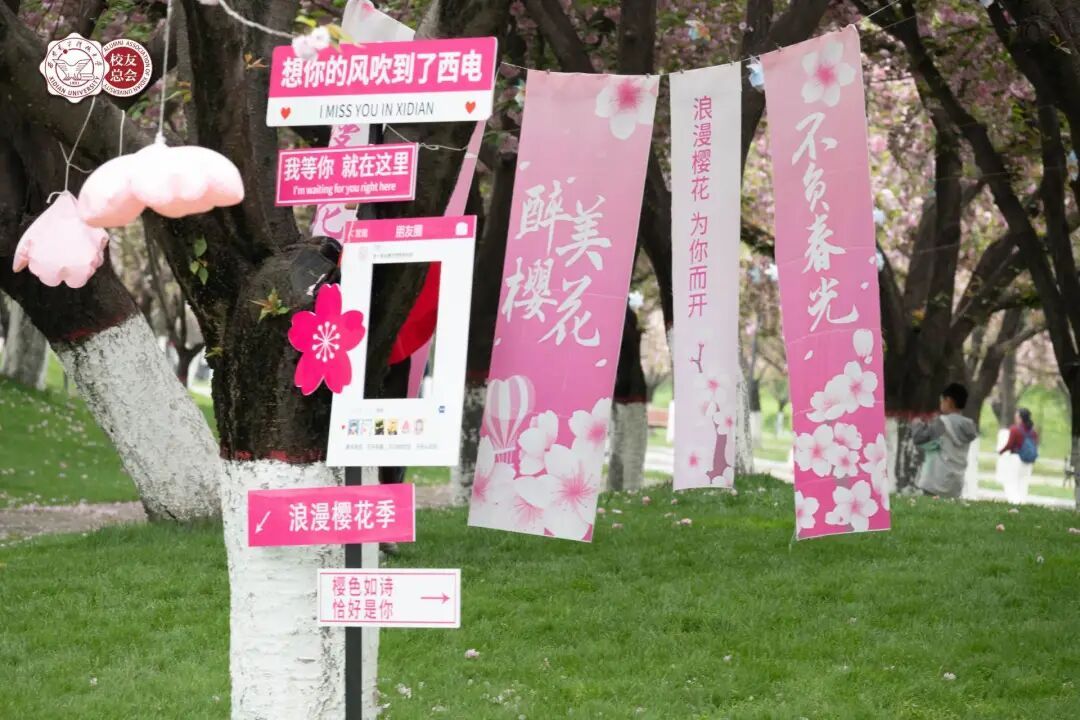 温情启幕