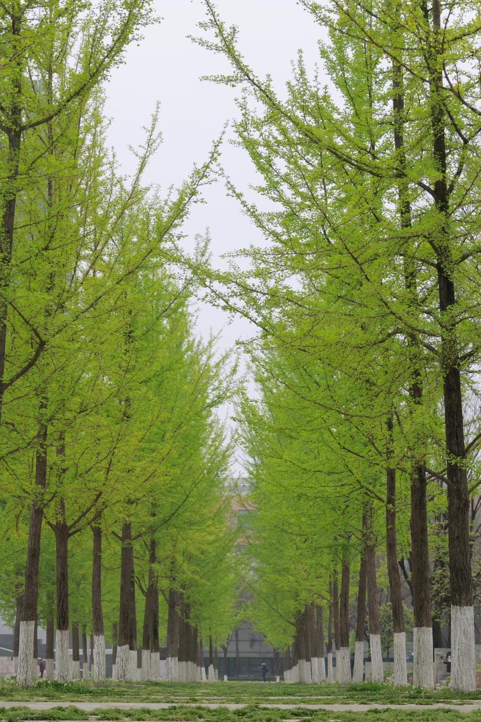 2024年3月30日